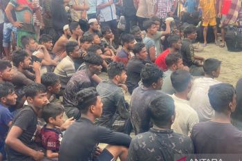 147 imigran Rohingya mendarat di pesisir pantai Pidie