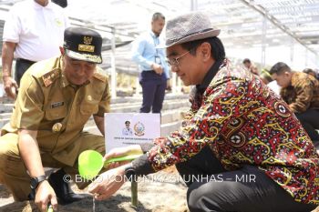 Pemprov Sulsel dan Unhas meluncurkan "Berjuta Bibit Pisang Cavendish"