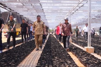 Pj Gubernur Sulsel instruksikan pembangunan sekolah hortikultura