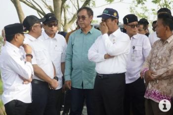Minister reviews farming potential of South Kalimantan swamp land