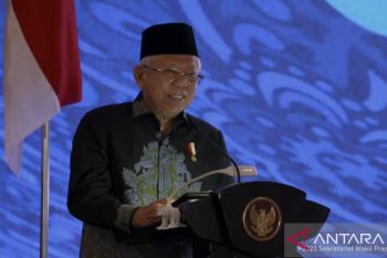 Sharia insurance could help mitigate risks amid global dynamics: VP