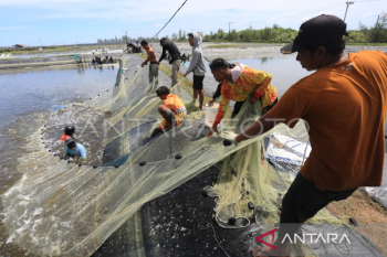 Ministry develops area-based modeling to boost aquaculture exports