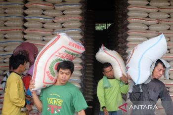 Keputusan impor beras perlu data akurat
