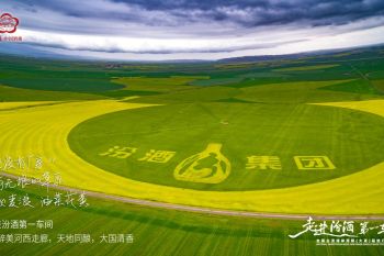 Fenjiu brings a healthier drinking experience to the world