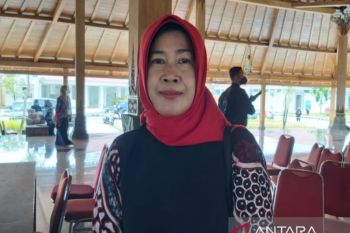 Dinkes Gunungkidul belum ada rencana penebaran nyamuk Wolbachia
