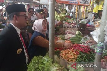 Dinas Ketahanan Pangan Jateng berikan subsidi harga bahan  pangan