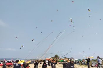 Sebanyak 1.048 peserta ikuti Festival Layangan Semarak HUT Ke-67 Lampung Selatan