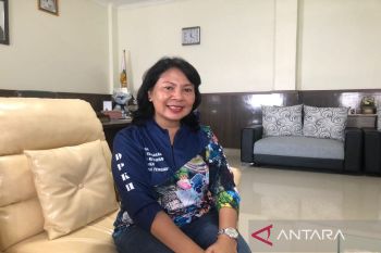 Dinas Peternakan Mimika: Peternak ayam lokal hasilkan 14 ton telur per hari