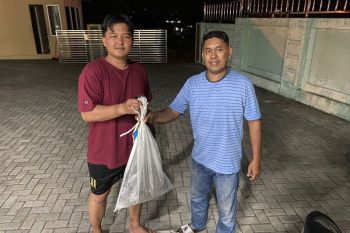 Warga Ambon serahkan ular piton kepada BKSDA Maluku