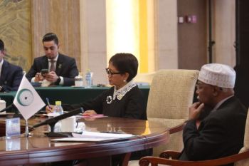 OIC, Arab League seeking firm UNSC resolution on Gaza war: FM