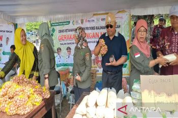 Dishanpang Kalteng gelar pasar murah pada Peda KTNA di Sukamara
