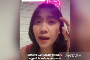 Kemenkes: Wolbachia tidak dapat hidup pada tubuh manusia