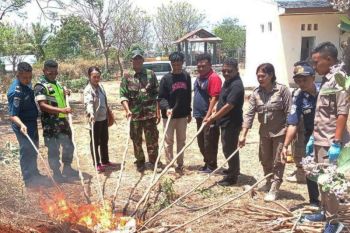 Karantina musnahkan 70 kilogram daging babi ilegal
