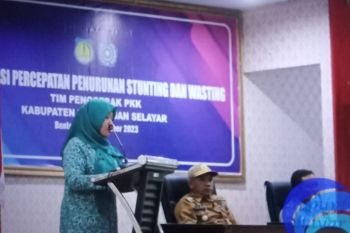 PKK Selayar perkuat kader dan posyandu guna turunkan stunting