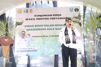 Govt striving to raise sugar production