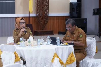 Perangkat daerah di Palangka diminta fokus tuntaskan program kerja
