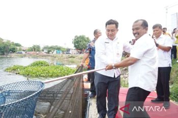 Pemkab Bekasi gelar festival hasil olahan ikan