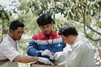 Kehadiran Pertamina berikan manfaat ekonomi dan keberlanjutan lingkungan bagi masyarakat di Sumbagsel