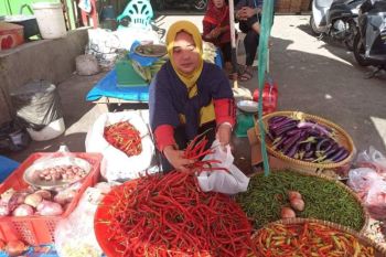 Harga cabai di Bukittinggi naik karena pengaruh cuaca buruk