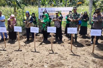 Pemkab Parigi Moutong gencarkan gerakan tanam cabai