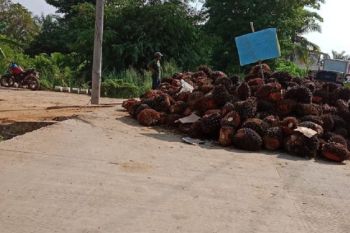 Warga blokir jalan di Kumpeh tuntut penyelesaian konflik lahan