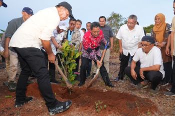 Pj Gubernur Sulsel mengapresiasi Pemkab Bulukumba manfaatkan lahan kosong