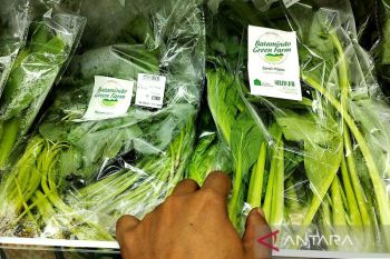 Plasma ozon mampu tingkatkan kualitas produk