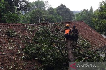 Longsor dan banjir lumpur landa Sukabumi