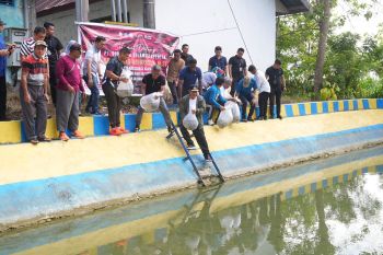 Pemprov Sulsel menebarkan 21 ribu benih ikan untuk ketahanan pangan
