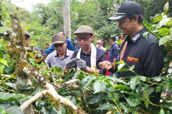 Festival Kopi Gayo dorong pemajuan desa