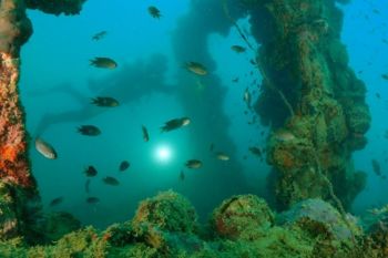 KWBT Mandeh Pesisir Selatan surganya olahraga selam