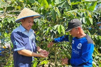 Kelompok Binaan Pabrik AQUA Solok Luncurkan Kopi Kayu Aro