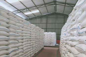 Bulog Sulteng : Beras impor upaya pemenuhan kebutuhan pangan