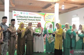 Pemkab Pasaman Barat sosialisasikan konsumsi pangan beragam