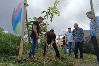 PLN UPDK Minahasa tanam 10 ribu pohon di pesisir Danau Tondano