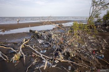 Transformasi ekonomi ekosistem alam melalui Identifikasi Digital