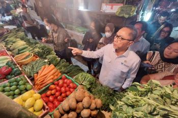 Mendag: Harga bahan kebutuhan pokok di Jakarta stabil