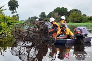 Kerjasama APP Group dan BRIN dalam budidaya perikanan: Langkah strategis menuju peningkatan ekonomi berkelanjutan