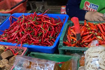 BI sebut inflasi di Lampung dipicu kenaikan harga sejumlah komoditas