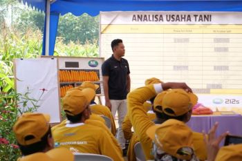 Mengamankan harga daging dan telur ayam lewat cukupnya jagung pakan