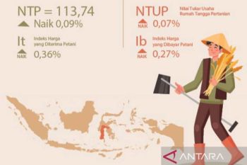 BPS: NTP  Sulsel naik 0,09 persen pada November 2023