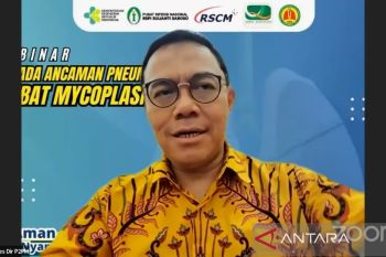 WHO keluarkan rekomendasi untuk mencegah wabah pneumonia