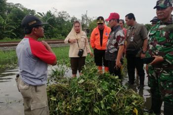 BPBD Semarang siap antisipasi rob tinggi