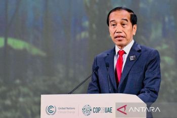Jokowi pushes global food collaboration against climate change