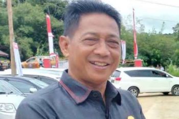 DPRD Murung Raya imbau warga dukung pembangunan jaringan listrik desa