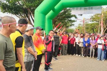 Wabup Murung Raya lepas ribuan peserta jalan sehat