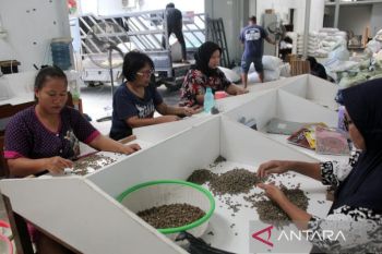 Coffe Mancafe Surganya Bagi Pecinta Kopi
