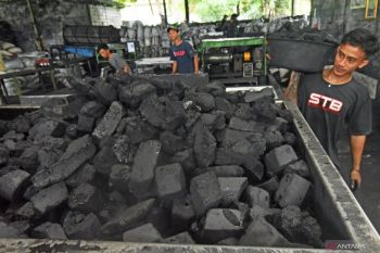 Kemendag eksplorasi pasar arang kayu di Inggris