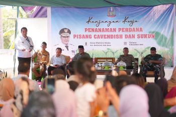 Penjabat Gubernur Sulsel ajak dongkrak kesejahteraan dengan tanam pisang
