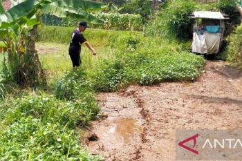 Lima rumah rusak akibat tanah bergerak